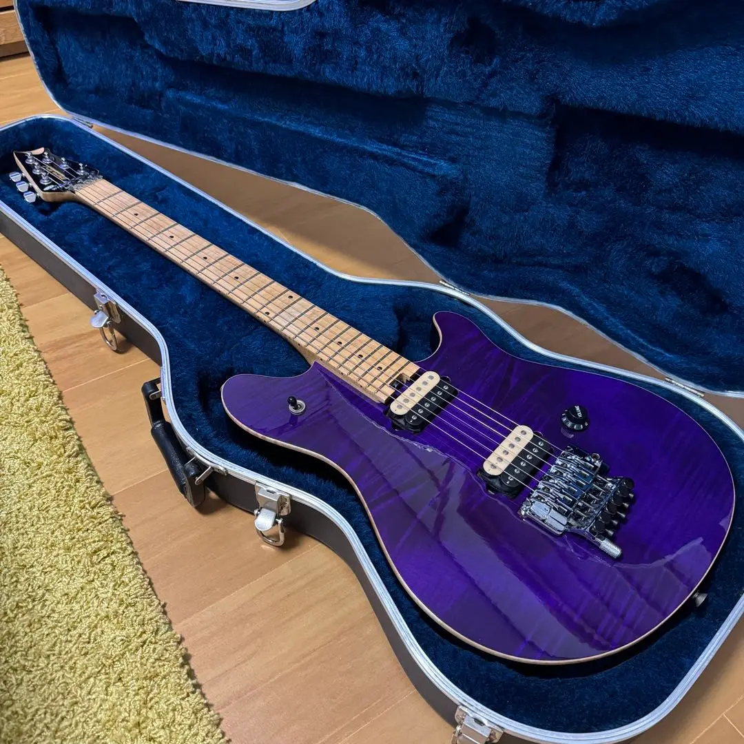 PeaveyWolfgang Special 、ハードケース付き 2025年最新】PEAVEY WOLFGANGの人気アイテム - メルカリ