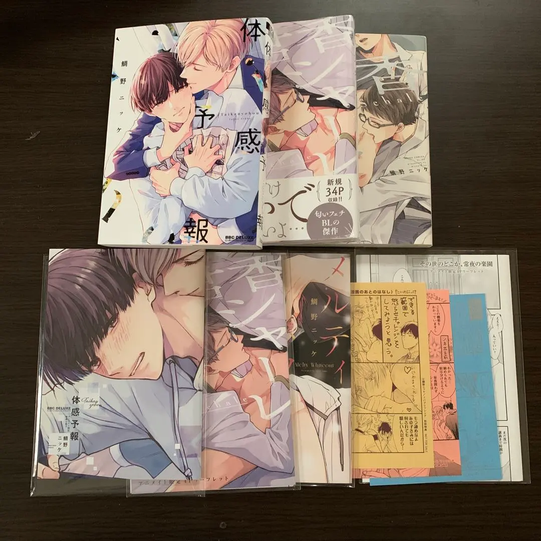 Thumbnail of Taiano Nikke - Experiencing the Forecast / Kimika Share / Booklet etc. «Bonus»