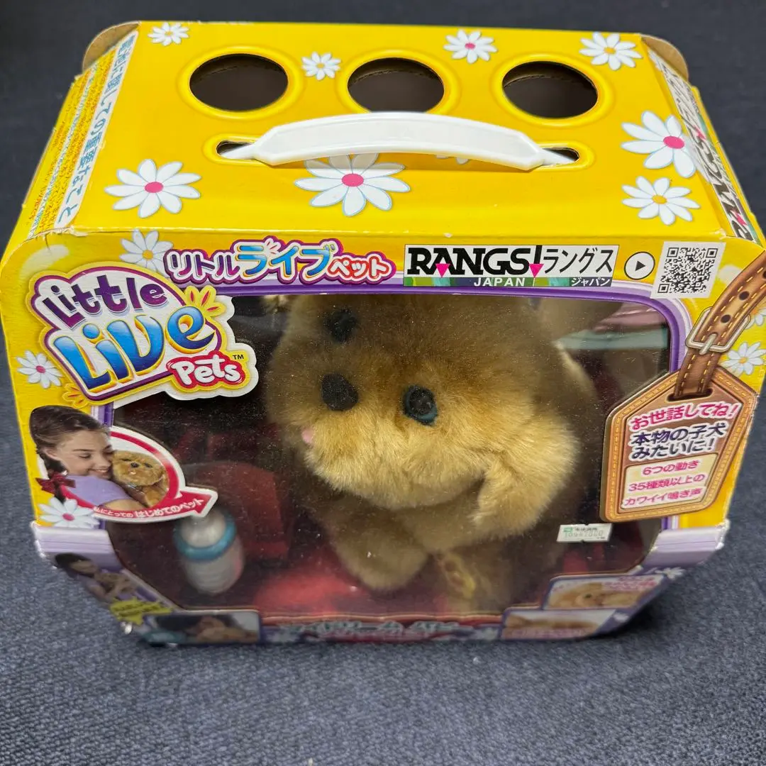 Amazon.co.jp: ラングスジャパン(RANGS) マイドリームパピー