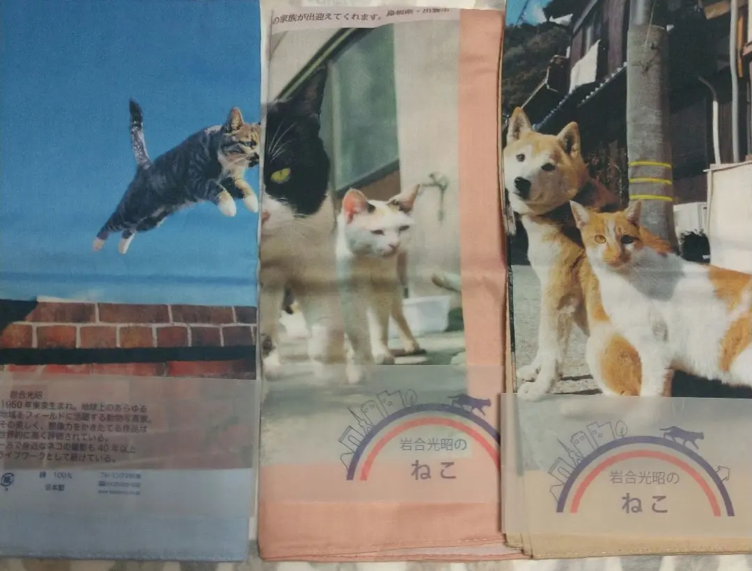 【ご確認用】 新品　未使用　岩合光昭さんハンカチ(=゜ω゜=)♥️猫 ねこ ネコ 2025年最新】岩合光昭 ハンカチの人気アイテム - メルカリ