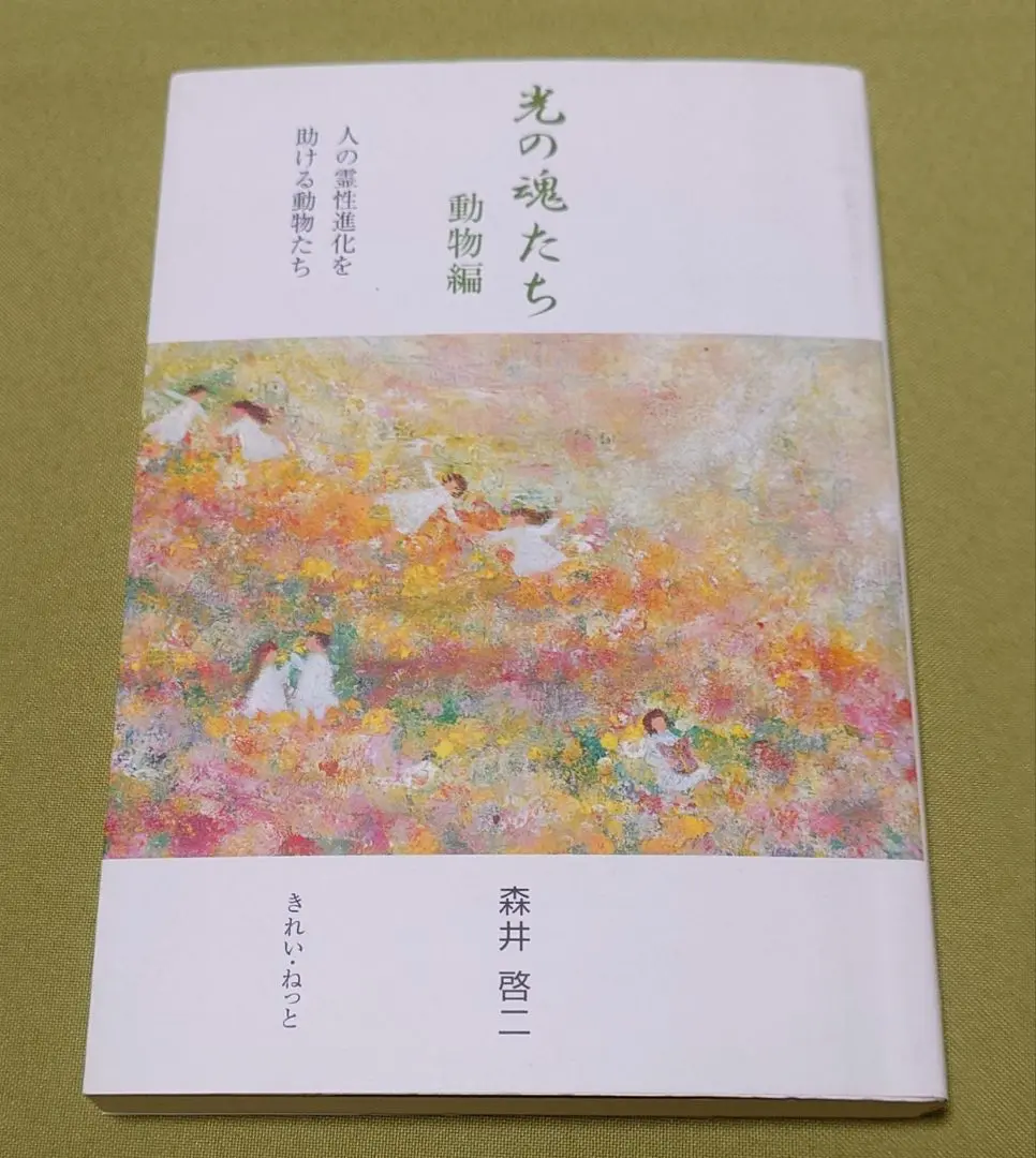 美品☆光の魂たち　動物編&山岳編　森井啓二　初版本2冊セット 美品☆光の魂たち 動物編&山岳編 森井啓二 初版本2冊セット