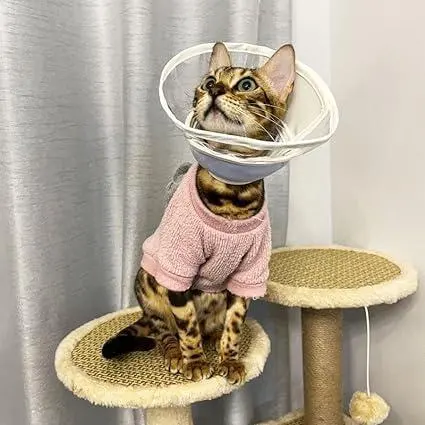 伊麗莎白圈 貓 犬用 柔軟 輕量 布製 護理用品 手術後 粉色 XL 的縮圖