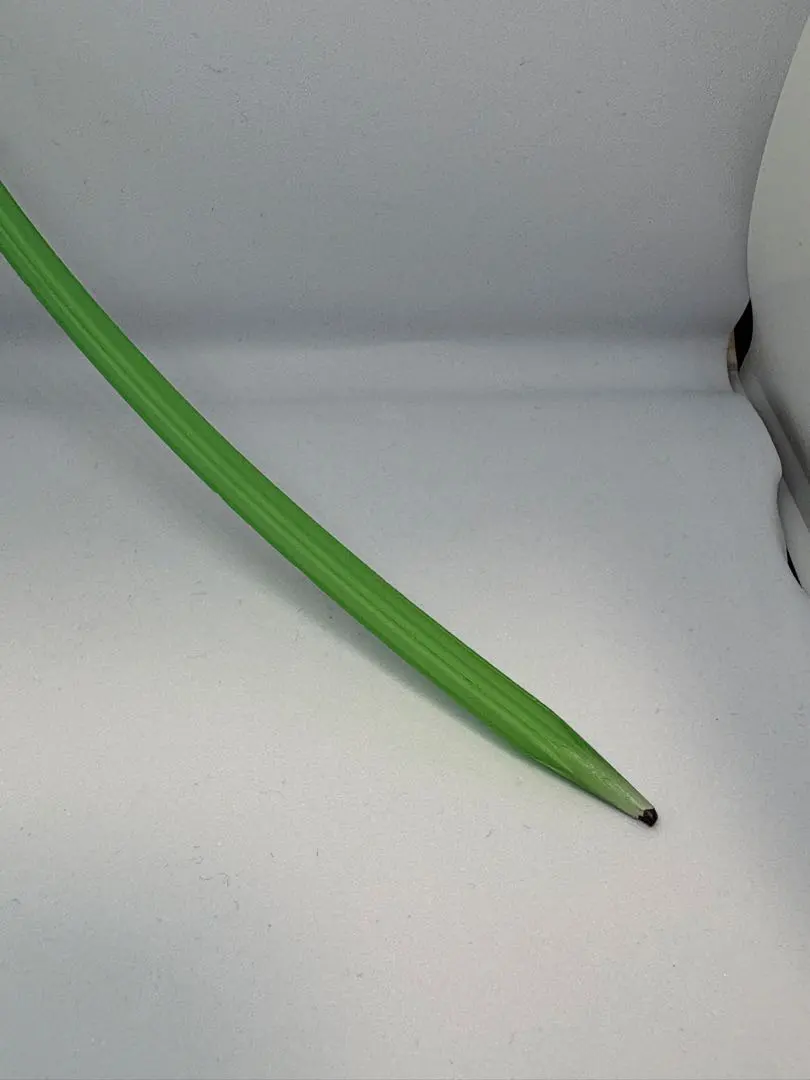 Thumbnail of Bendable pencil: fun gag stationery