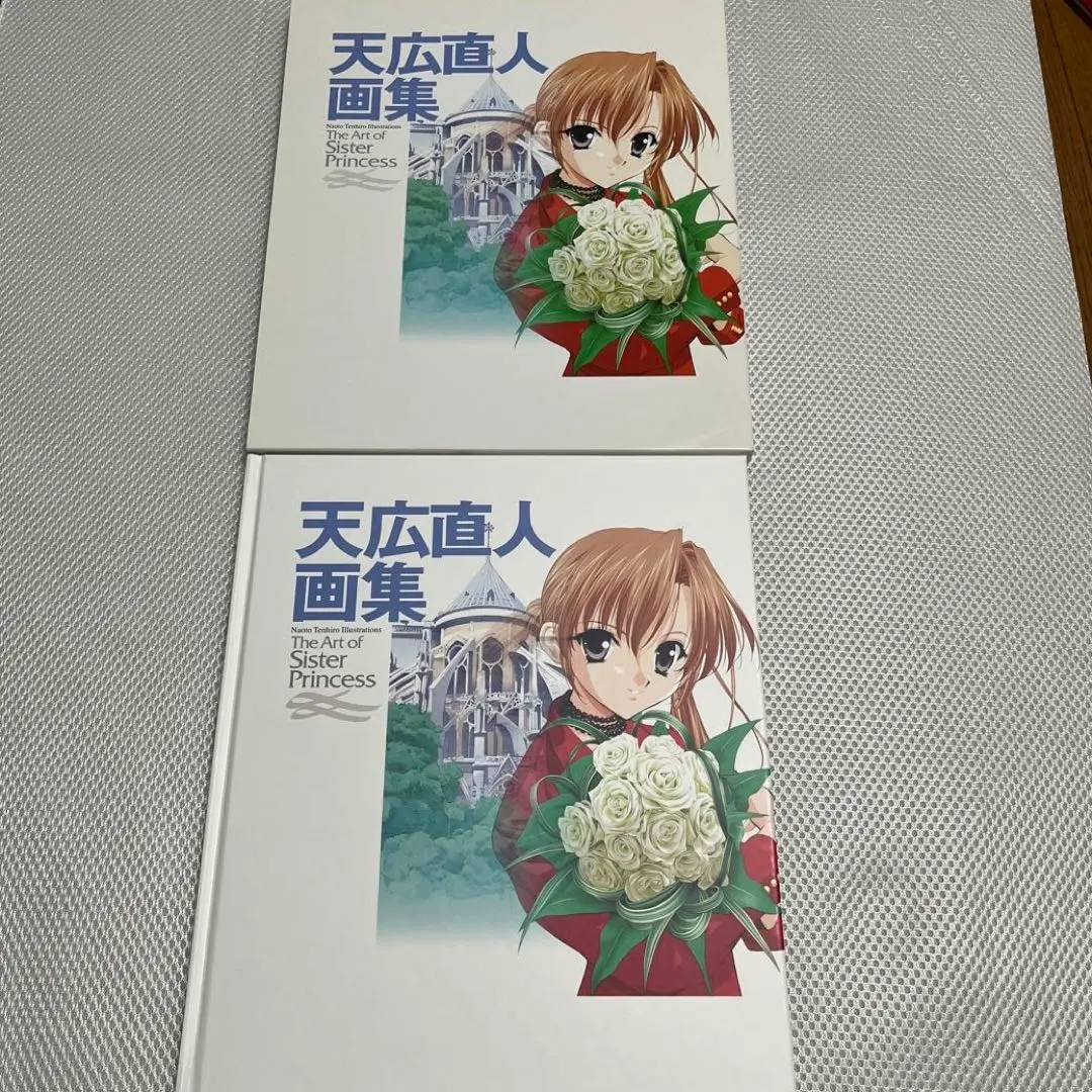 2025年最新】天広直人画集 the art of sister princessの人気