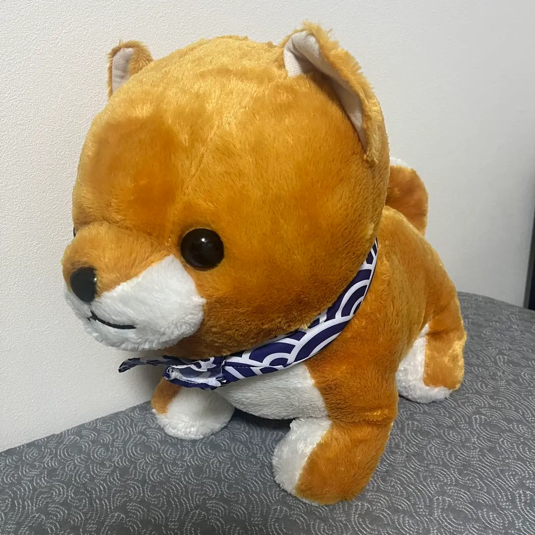 Thumbnail of Mameshiba San Kyodai Plush Toy Large BIG Mame-taro with Bandana