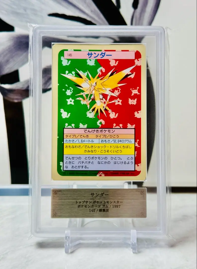 サンダー　トップサン　ポケモン　ポケットモンスター 2025年最新】トップサン サンダーの人気アイテム - メルカリ