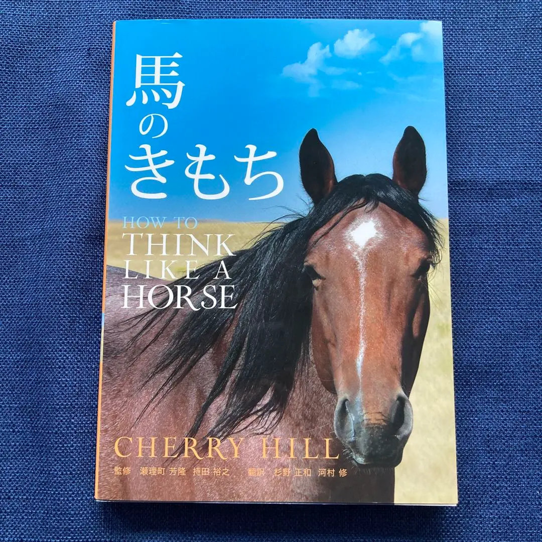 馬のきもち