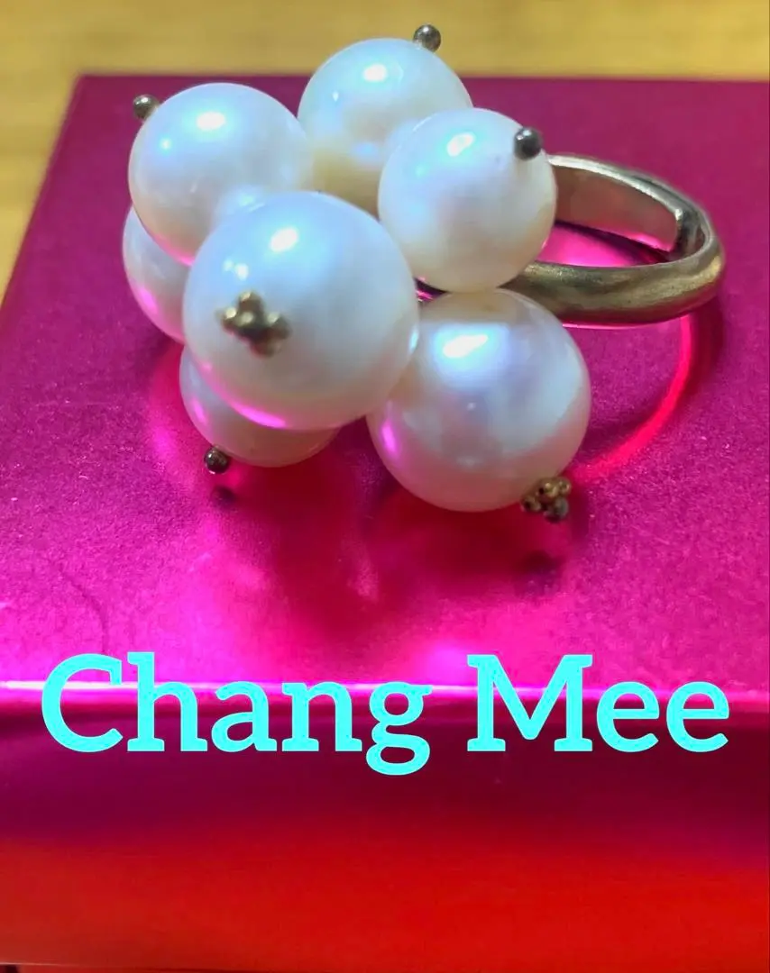chang mee チャンミー　バードピアス 値下げ】チャンミー chang mee バード ピアス 鳥 風間