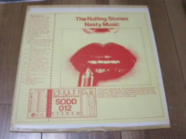 The Rolling Stones – Nasty Music – 2 x Vinyl (LP, Unofficial
