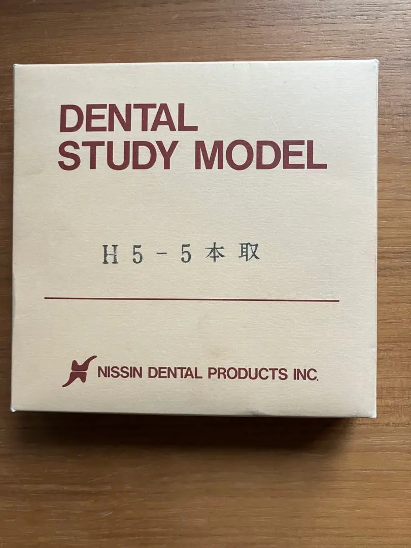 歯科用　NISSIN DENTAI MODELセット 口腔外科実習用顎模型 [P15FE-OOP.1](FE咬合器つき)｜株式会社
