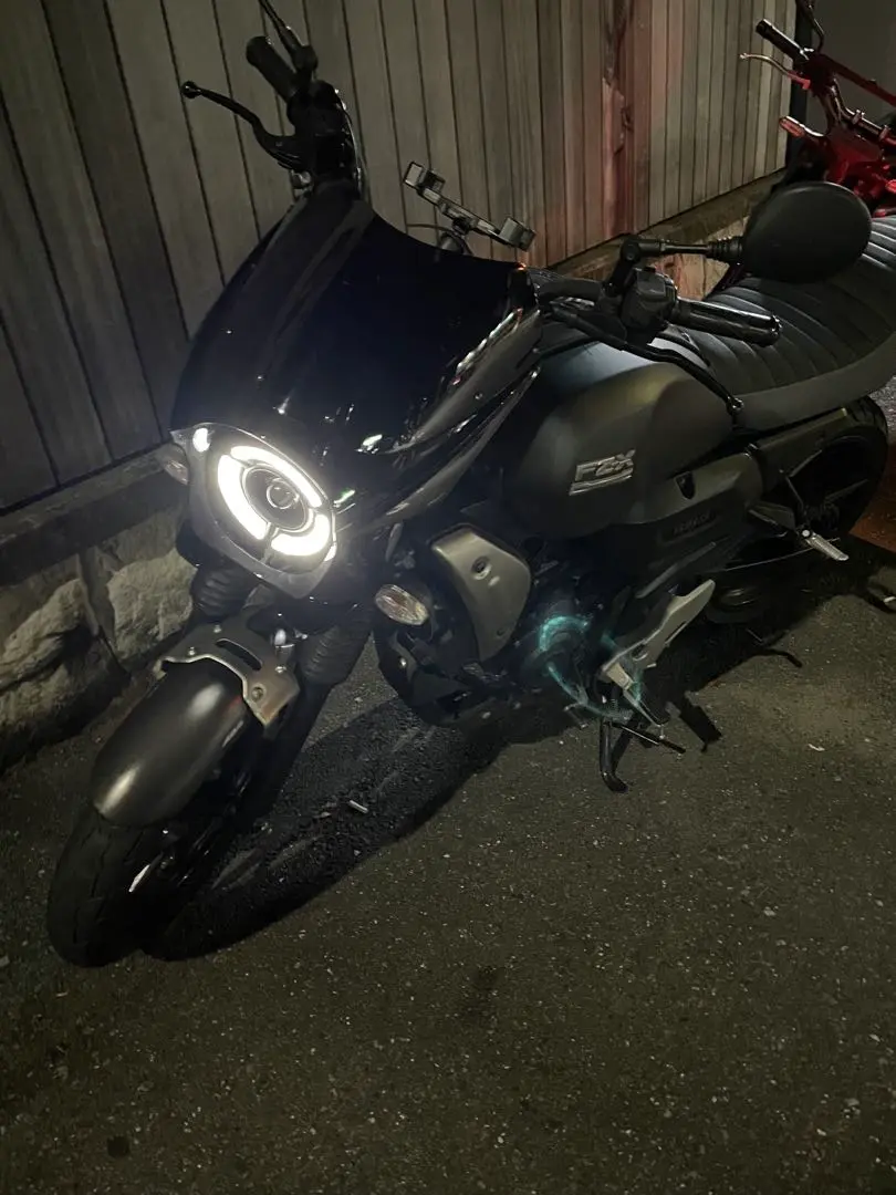 オートリメッサ　ローシート　スズキGSR250 現在のGSR250カスタム箇所とその雑感だぞ。 | 鋼＠ゆーえふ箱庭