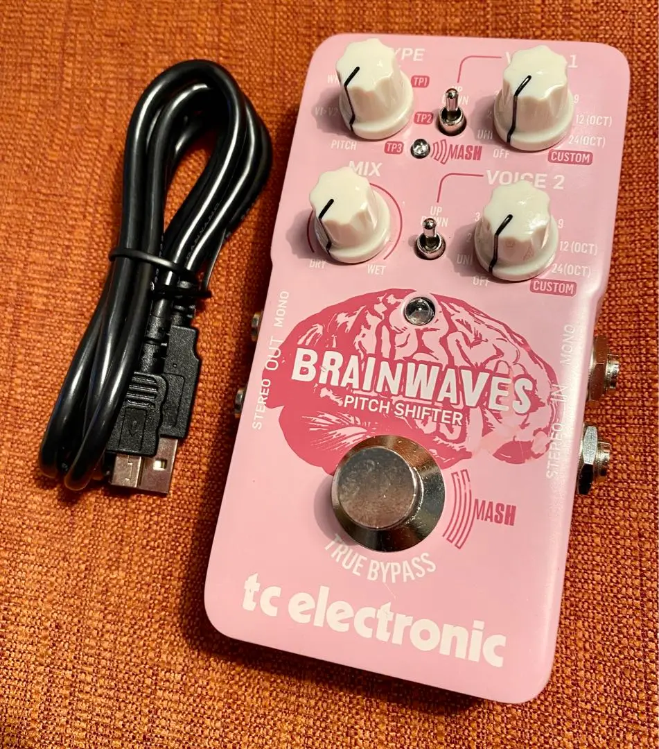 即発送　brainwaves pitchshifter 箱ケーブル付き 2025年最新】brainwaves pitch shifterの人気アイテム - メルカリ
