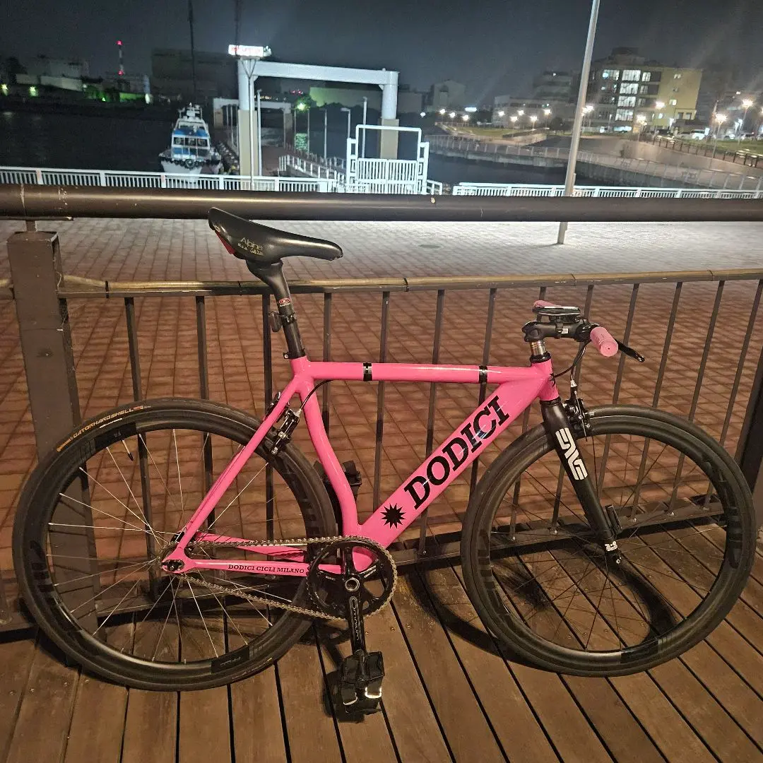 BL SELECT* ALPINA UD track carbon fork - BLUE LUG ONLINE STORE