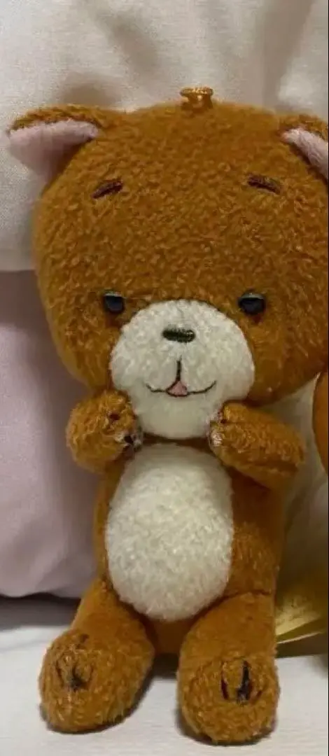 こまねこ　ぬいぐるみセット こまねこ ぬいぐるみ ラジボー マスコット 人形 インテリア