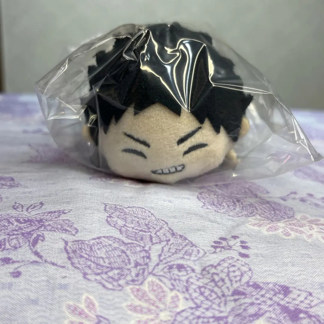 Thumbnail of Iwaizumi Hajime Haikyu!! Mochimochi Mascot WA Mochimasu