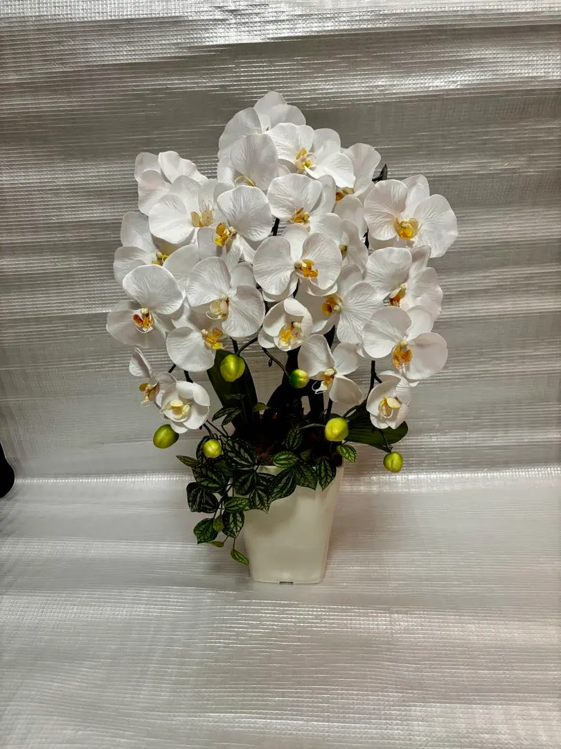 Thumbnail of Artificial orchid, celebration, offering, white, Obon