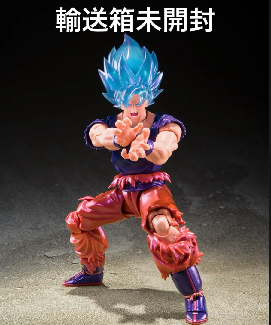 2025年最新】S.H.Figuarts スーパーサイヤ人ゴッドスーパー