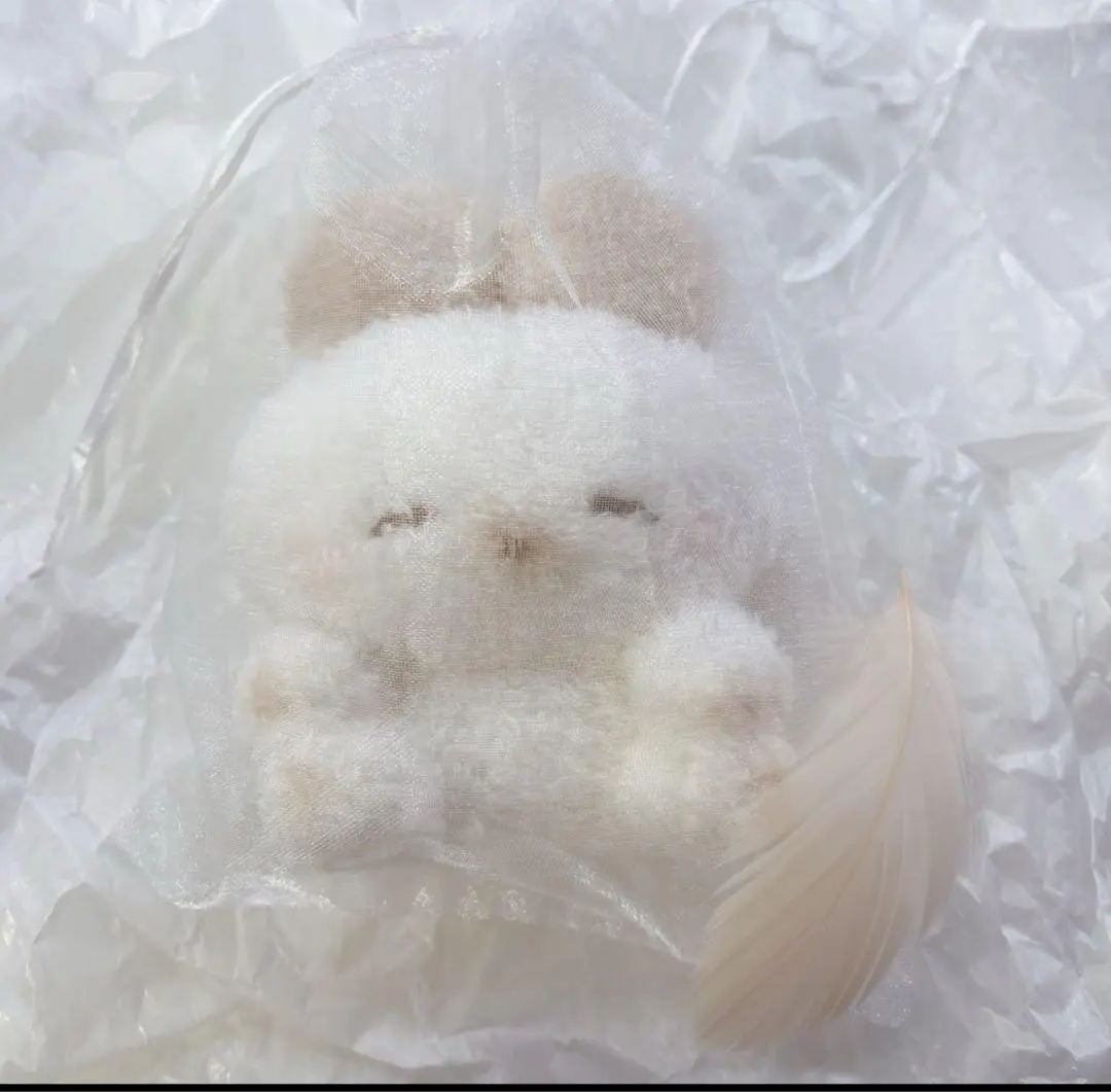 2025年最新】うさぎのねむちゃん ちゃみみちゃんの人気アイテム