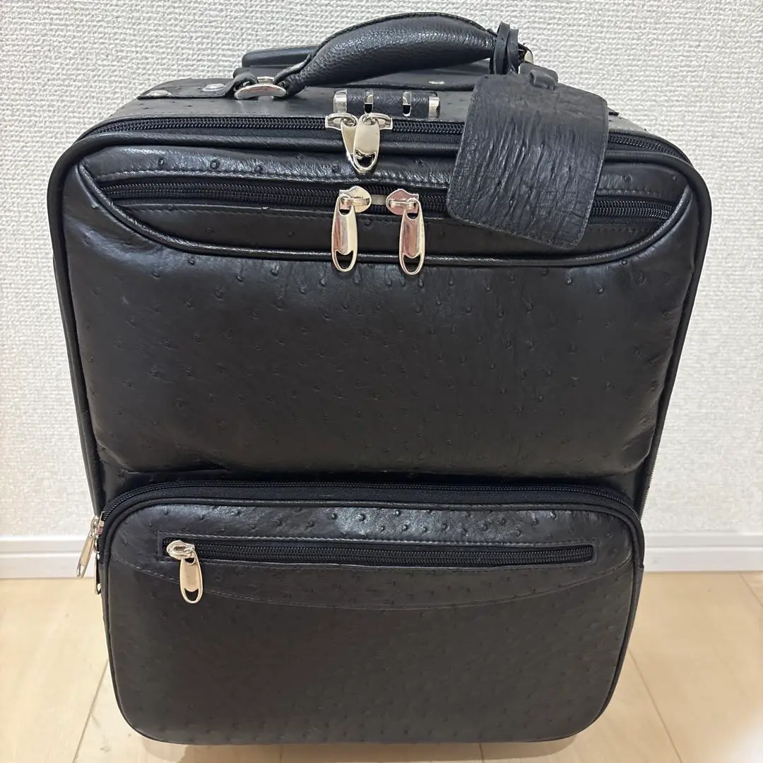 高級キャリーケース　オーストリッチ　本革　黒　機内用 ALL PRODUCTS – ACE LUGGAGE