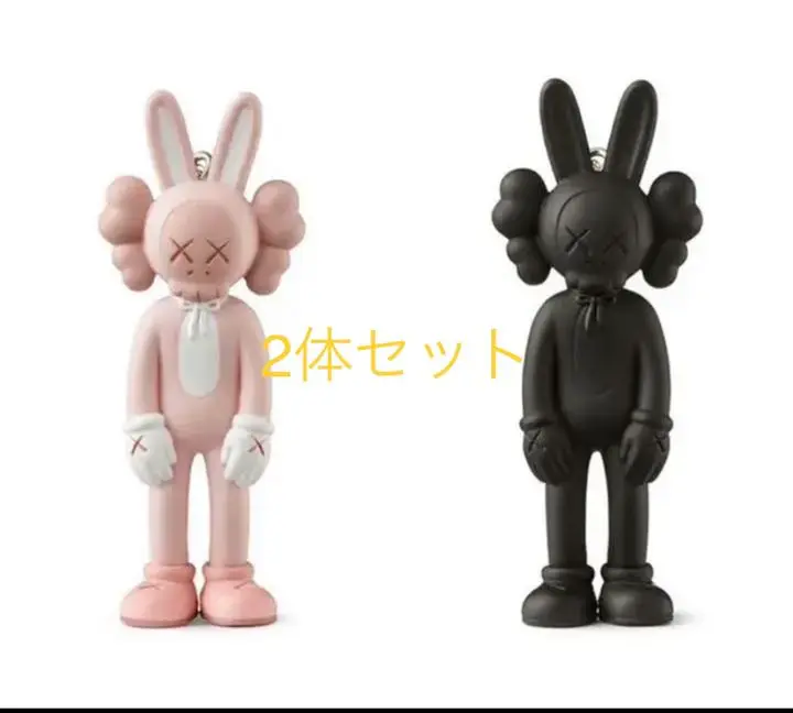 国内初の大型展覧会「KAWS TOKYO FIRST」チケットセット「KAWS