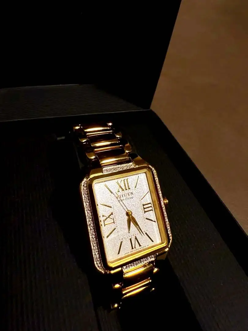 2025年最新】CITIZEN WR100の人気アイテム - メルカリ