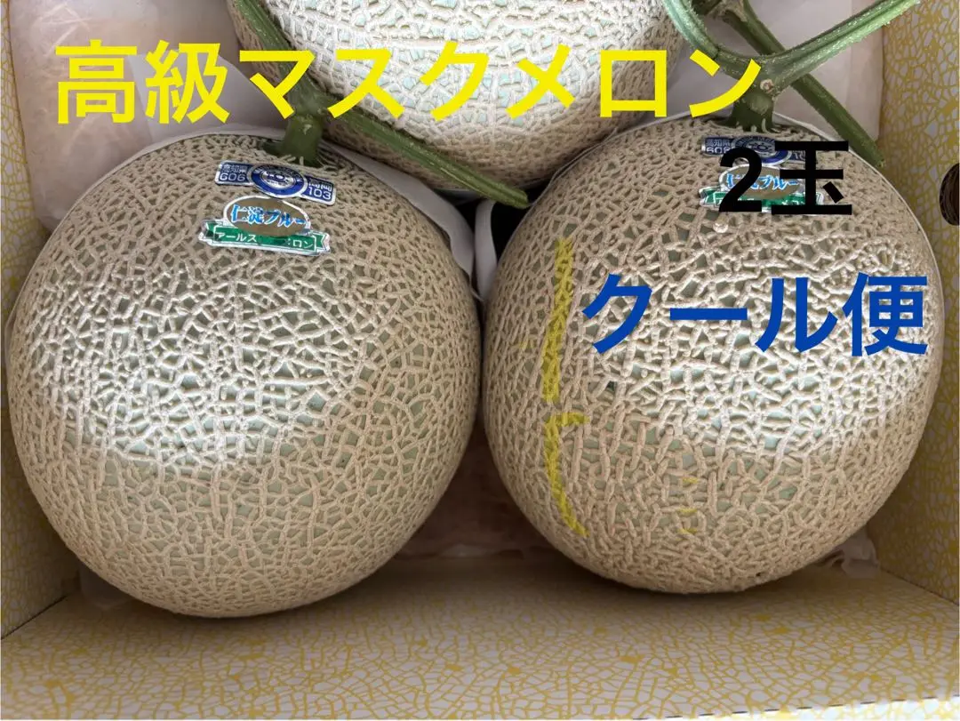 高知 アールスメロン 5玉 仁淀ブルー マスクメロン 高知 アールスメロン 5玉 仁淀ブルー マスクメロンの通販 by