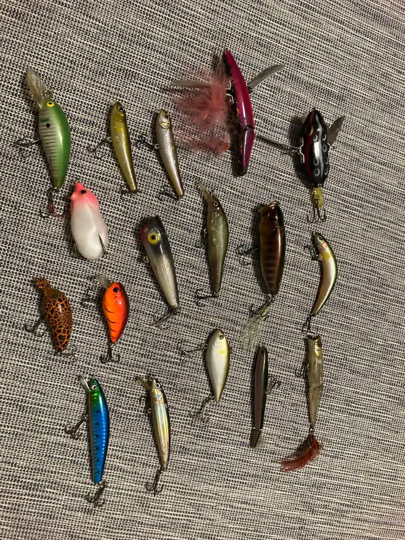 新品 ダイワ メガピーナッツ 限定 希少 2025年最新ダイワ メガピーナッツの人気アイテム - メルカリ