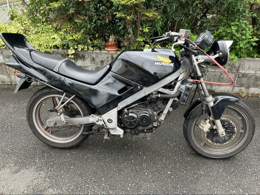 vtz250羽テール（黒色）