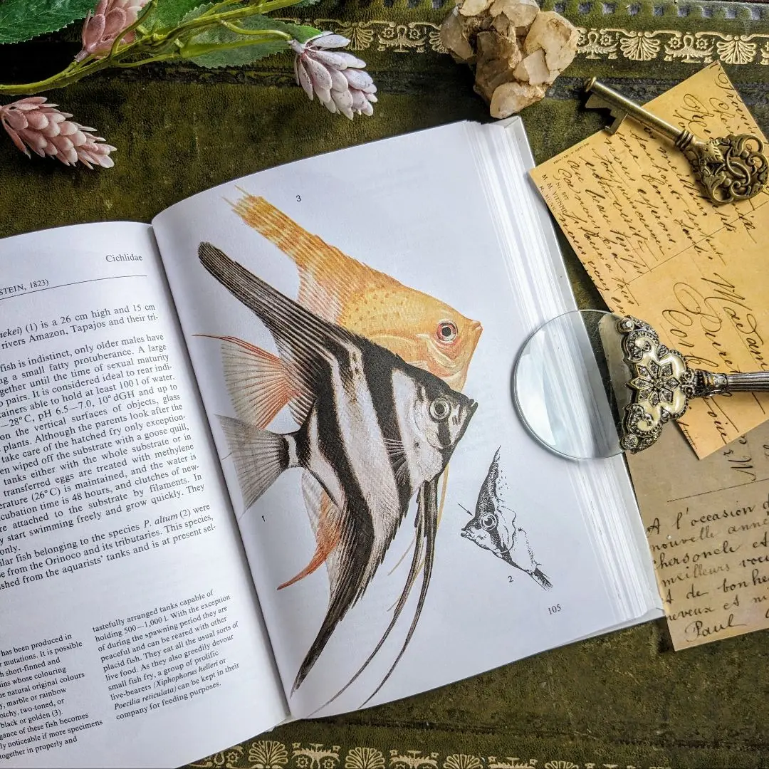 熱帯魚　図鑑　洋書　ディスカス　南アメリカ　魚　Fish Aqualog 淡水魚 熱帯魚 図鑑 洋書 ディスカス 南アメリカ 魚 Fish Aqualog 淡水魚