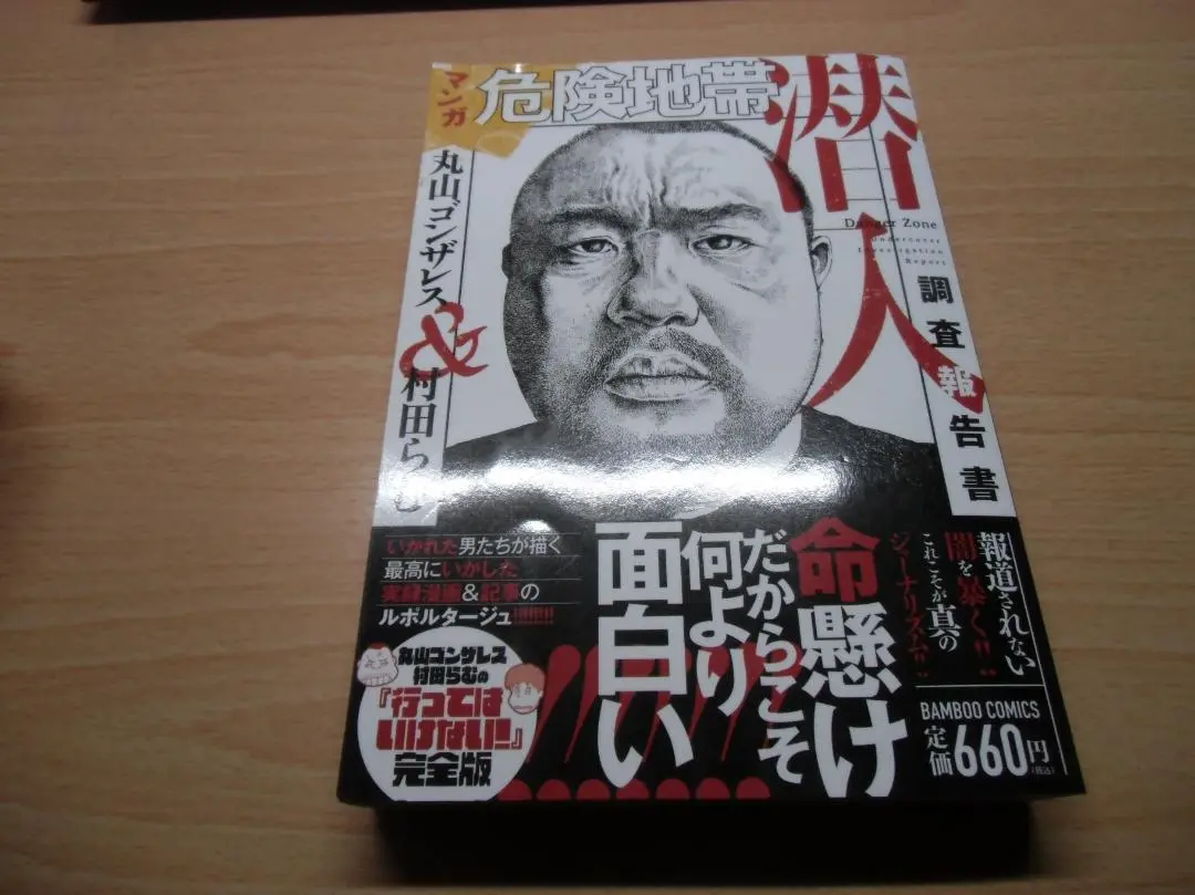 2025年最新】危険地帯潜入調査報告書/丸山ゴンザレス/村田らむの