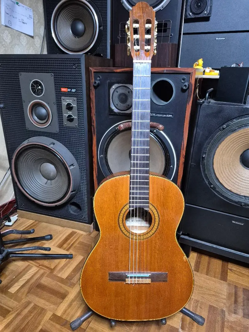 堀田 アコースティックギター G-80 - メルカリ