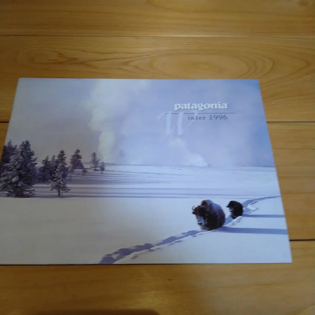 patagonia カタログFALL1998 2冊 2025年最新】パタゴニア カタログ 1998の人気アイテム - メルカリ