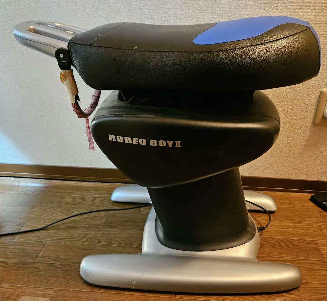 ロデオボーイ2 RODEO BOYⅡ THRIVE RODEO BOY II ロディオボーイ2 乗馬運動 動作確認済み