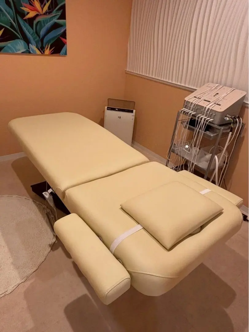 INT04 ⭐️美中古⭐️タカラベルモンテ エブリワンN  エステベッド‼️ INT04 ⭐️美中古⭐️タカラベルモンテ エブリワンN エステベッド‼️