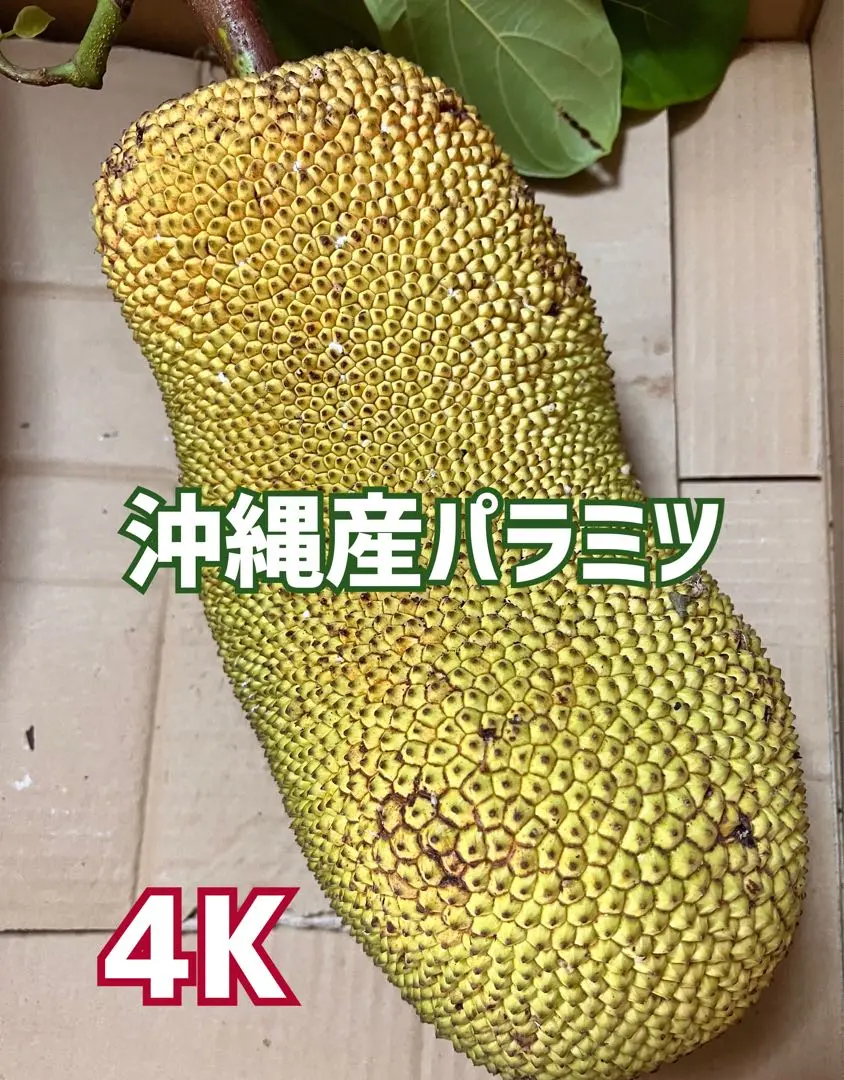 特大ジャックフルーツ 12キロ　50cm 特大ジャックフルーツ 12キロ 50cm
