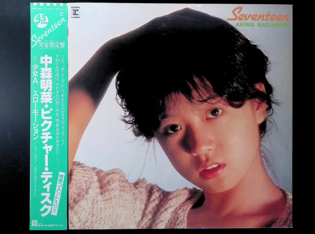 2025年最新】中森明菜 ピクチャー ディスクの人気アイテム