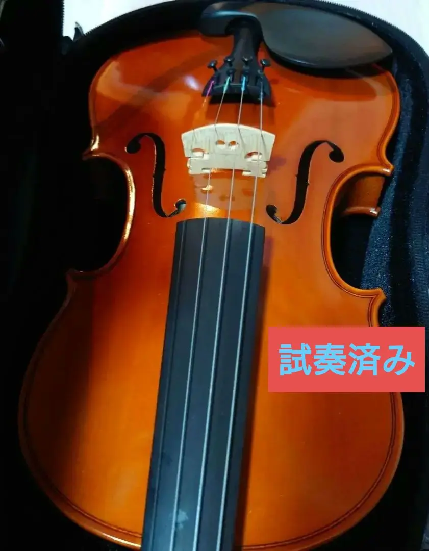 【美品☆ケース付属】イーストマン バイオリン VL80　4/4　2015年製 VL80セットバイオリン：弦楽器：メーカー：イーストマン