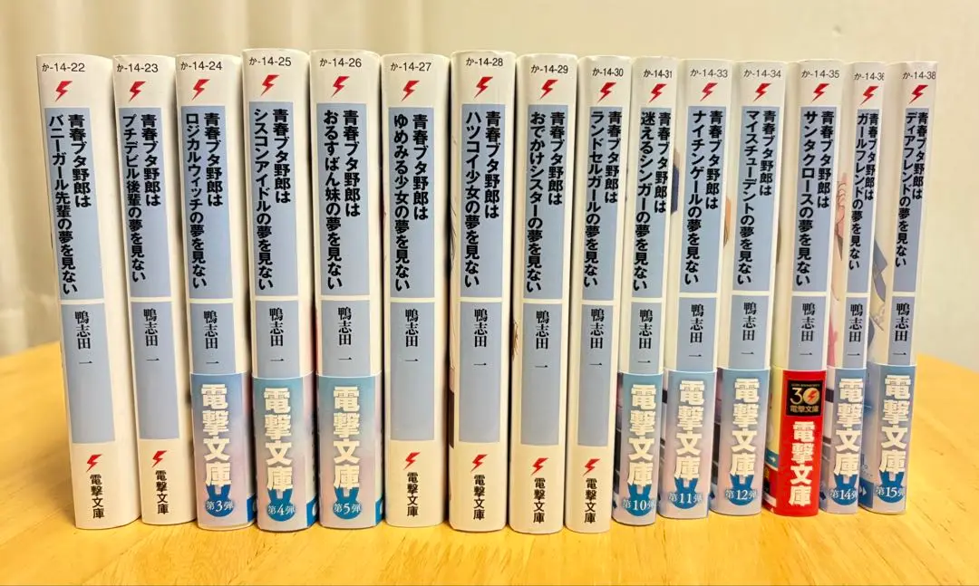 2025年最新】青春ブタ野郎はナイチンゲールの夢を見ない（11）の