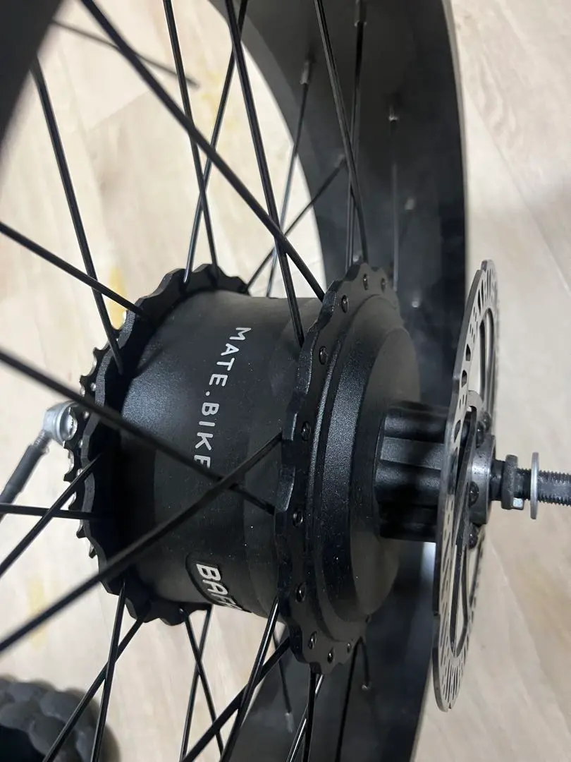 Mate bike x 250 750フロントホイール20x5.0 Mate bike x 250 750フロントホイール20x5.0