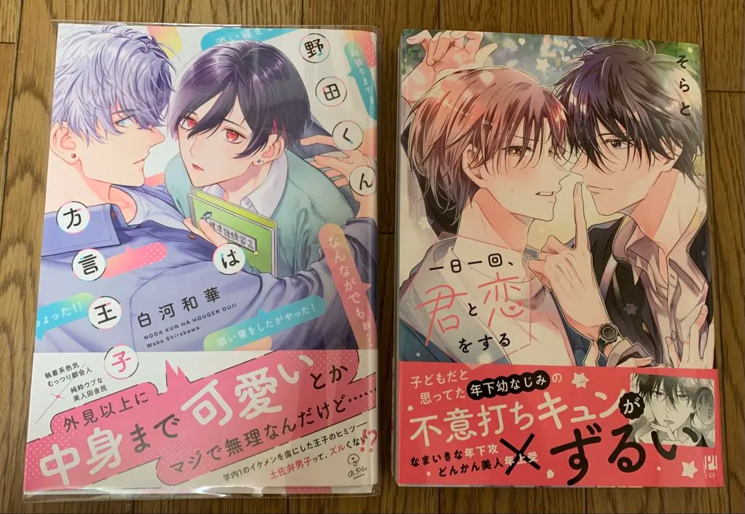 Thumbnail of New Release: Kazuha Shirakawa's "Noda-kun is the Dialect Prince" and Sora's "Once a Day, I Fall in Love with You"