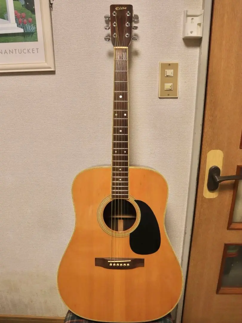 某メーカー 2025年最新】takamine eliteの人気アイテム - メルカリ ギター