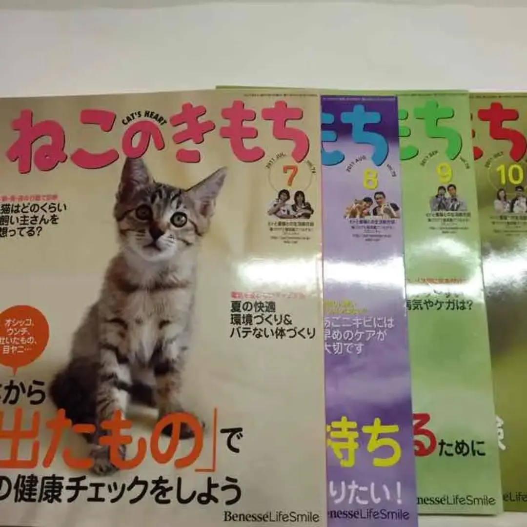 『即購入❌』ねこのきもち　雑誌　大量 ねこのきもちWEB MAGAZINE｜それでもやっぱり猫が好き