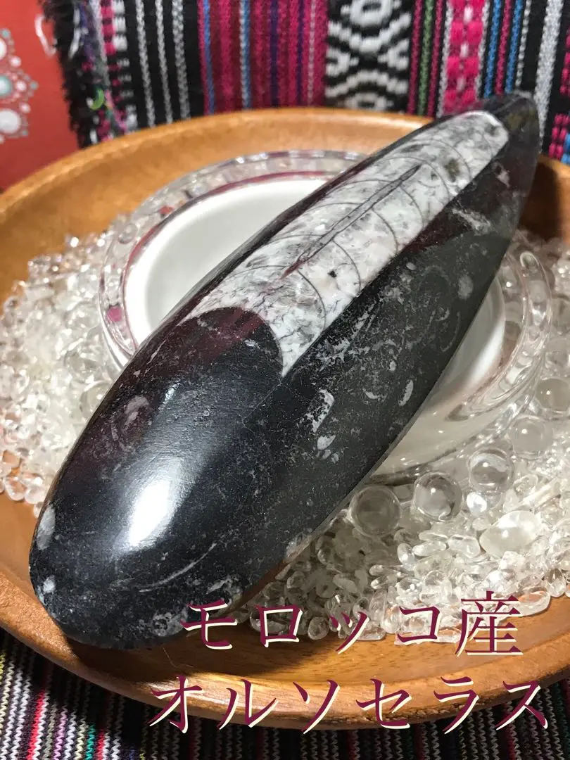 2025年最新】チョッカクガイの人気アイテム - メルカリ