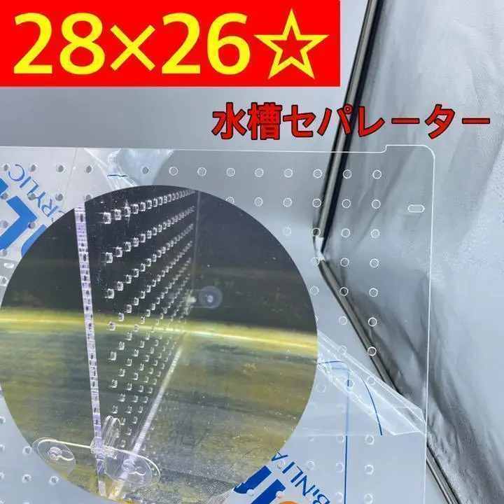 水槽仕切りセパレーター　150✖︎60 ✖︎60用 楽天市場】【送料無料】60cmガラス水槽用セパレーター／仕切り