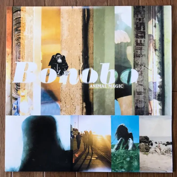 bonobos - water ボノボ ウォーター 7インチレコード Bonobos - Water Bonobo 7 Inch Record 5m | eBay