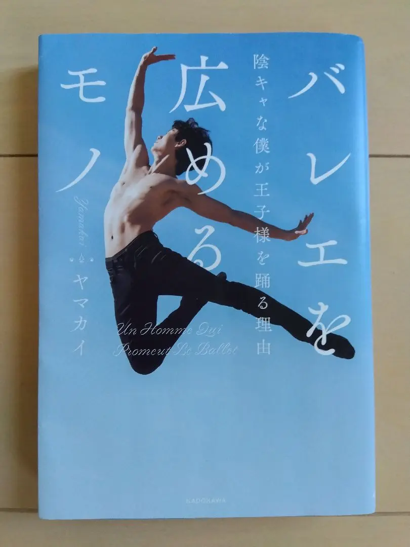 ●専用● ヤマカイ　The Ballet Show 　DVD＋パンフレットセット ヤマカイTV 美女と野獣 The Ballet Show DVDとパンフレット