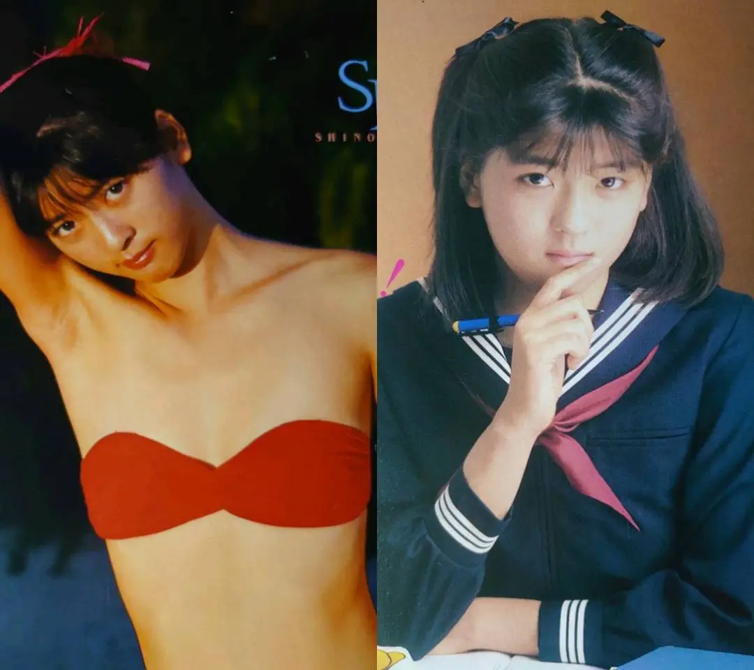 ②　中山忍　1988年〜1990年 大量　切り抜き　ファイル　2冊　120P Amazon.co.jp: 中山忍 1988年～1990年 切り抜き 大量 ファイル 2