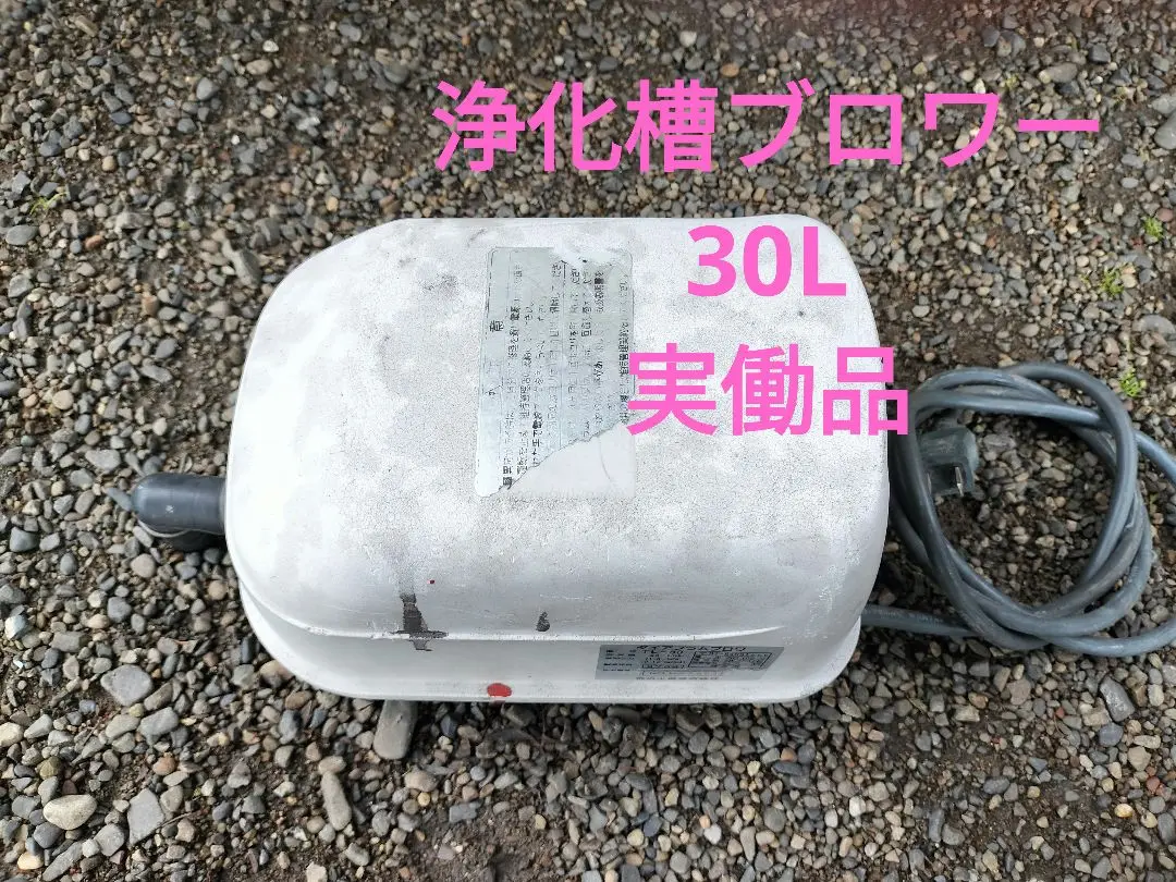 2025年最新】浄化槽ブロワー 30lの人気アイテム - メルカリ