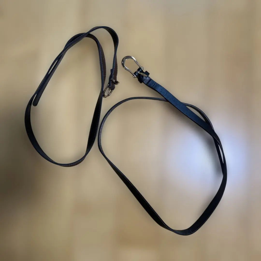 Thumbnail of Two thin belts