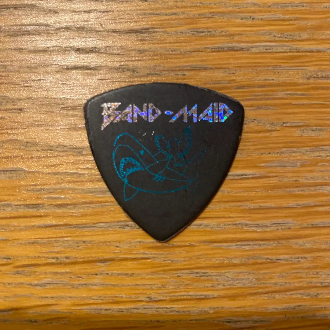 BAND-MAID ピック 2025年最新】band-maid ピックの人気アイテム - メルカリ